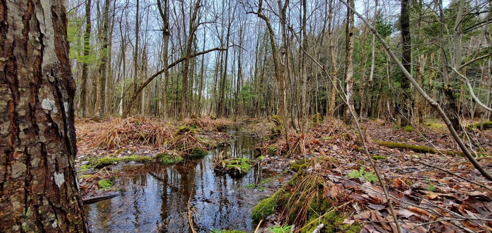 VIDÉO – Résidence-galerie SRIIZ: l’art au cœur du quotidien