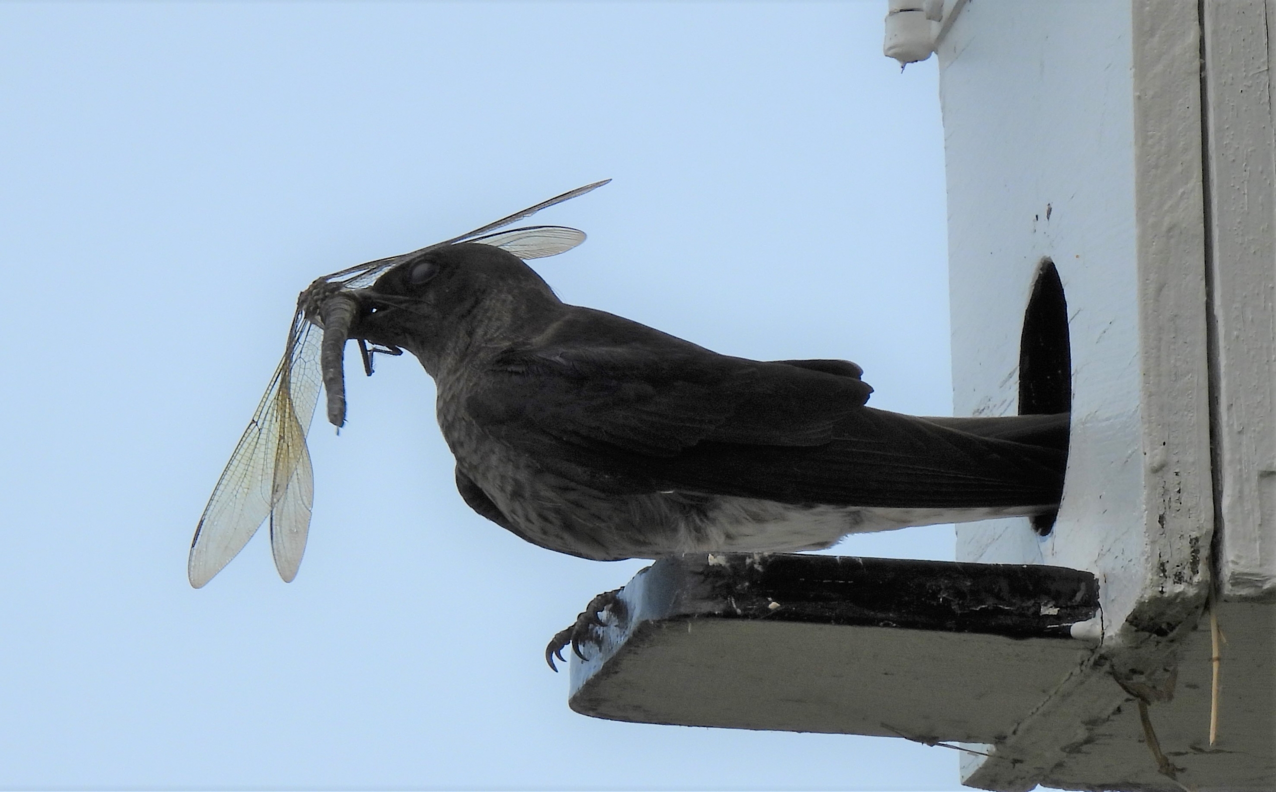 Activités communautaires du 15 septembre