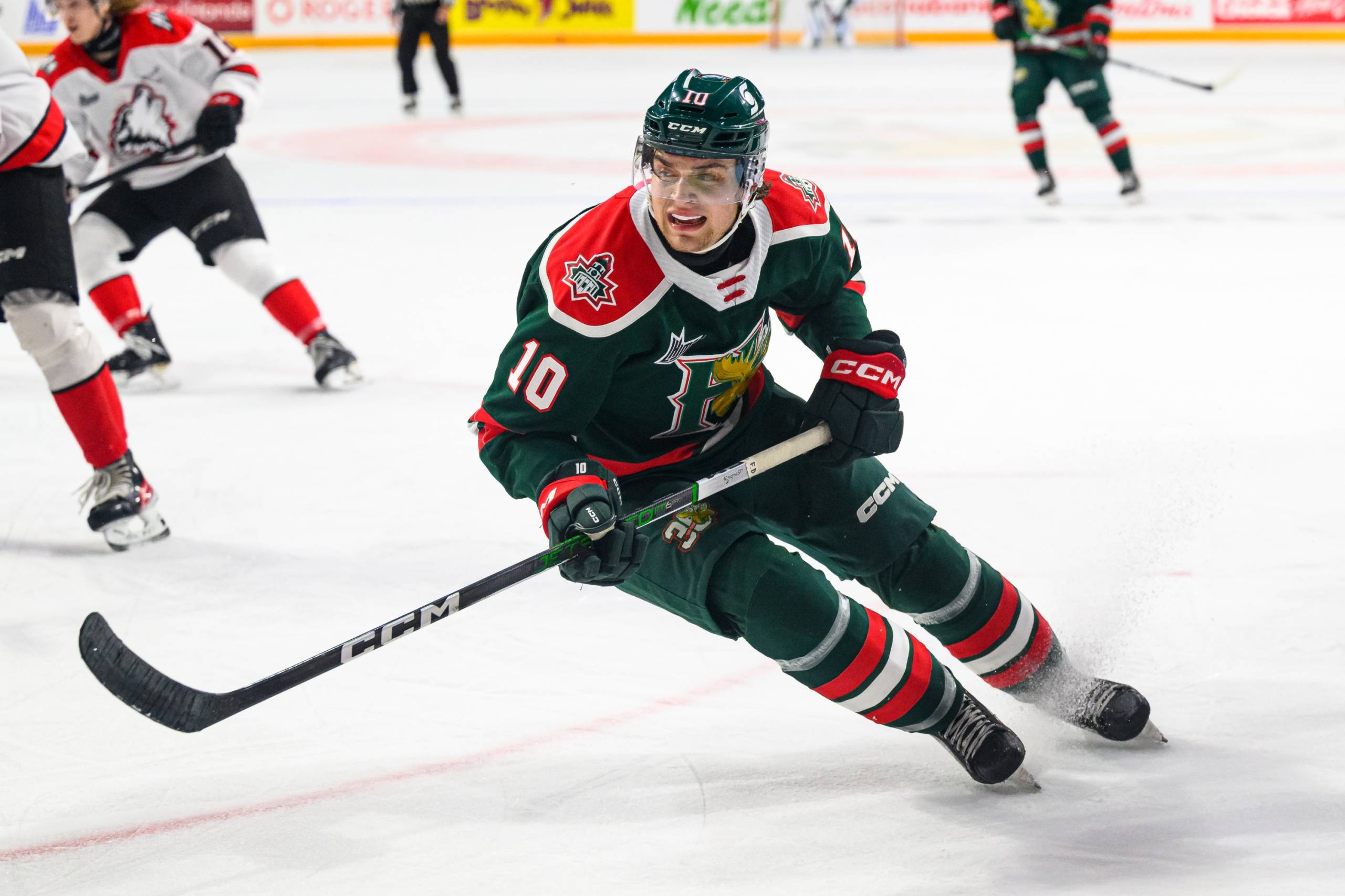 Un vrai fanatique de maïs