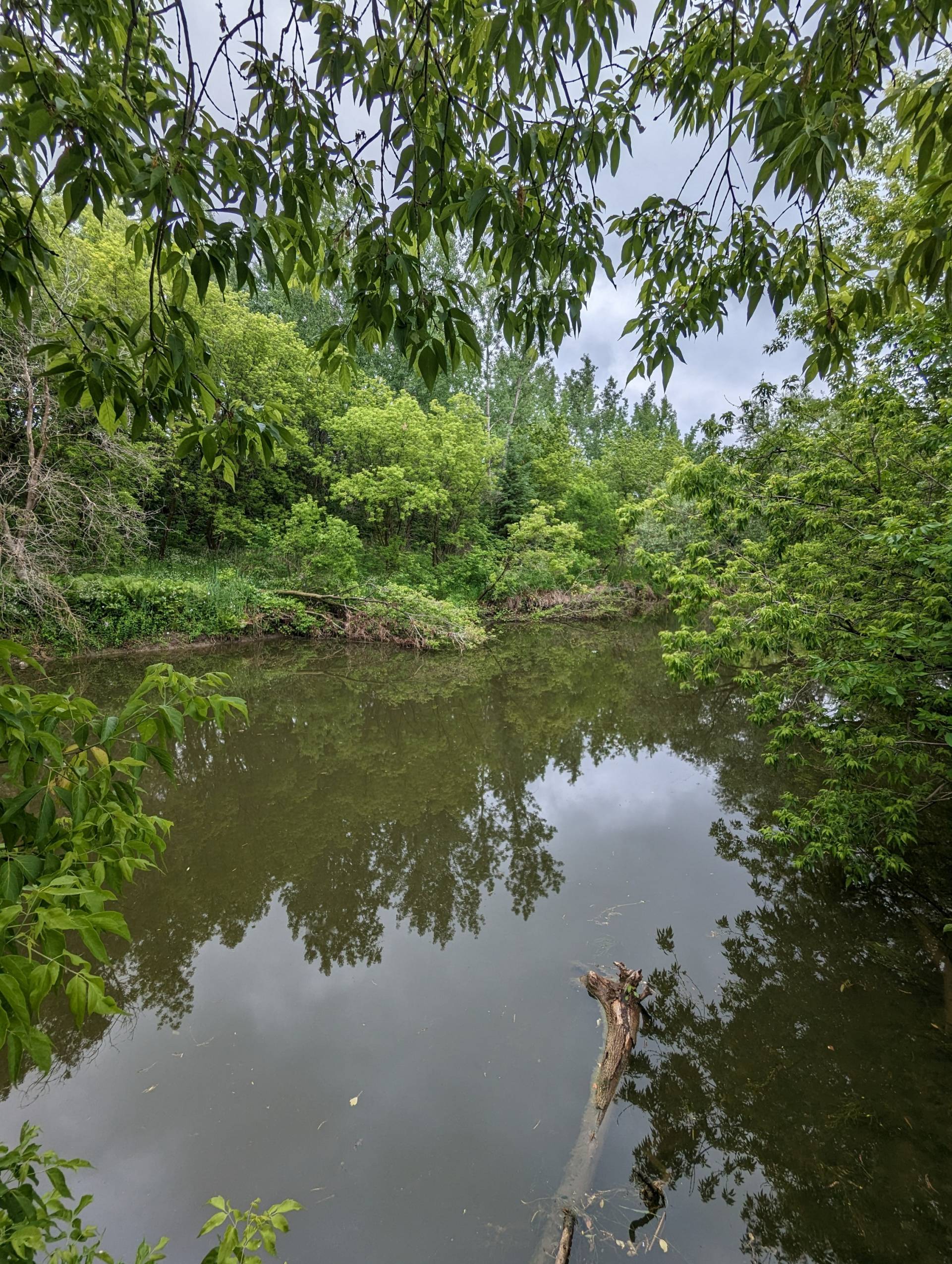 Quand tu n’es pas trop sûr de ton nouvel électricien…
