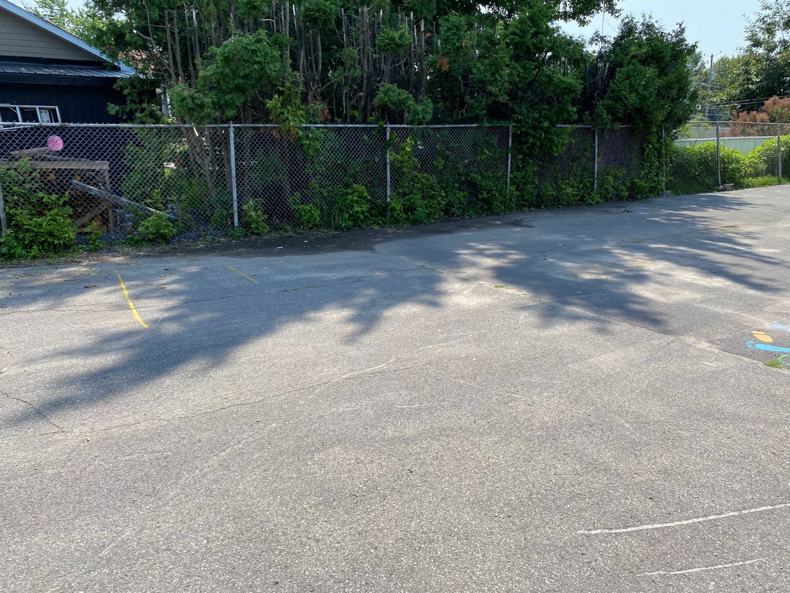 Comment faire plaisir à vos animaux tout en économisant sur vos achats