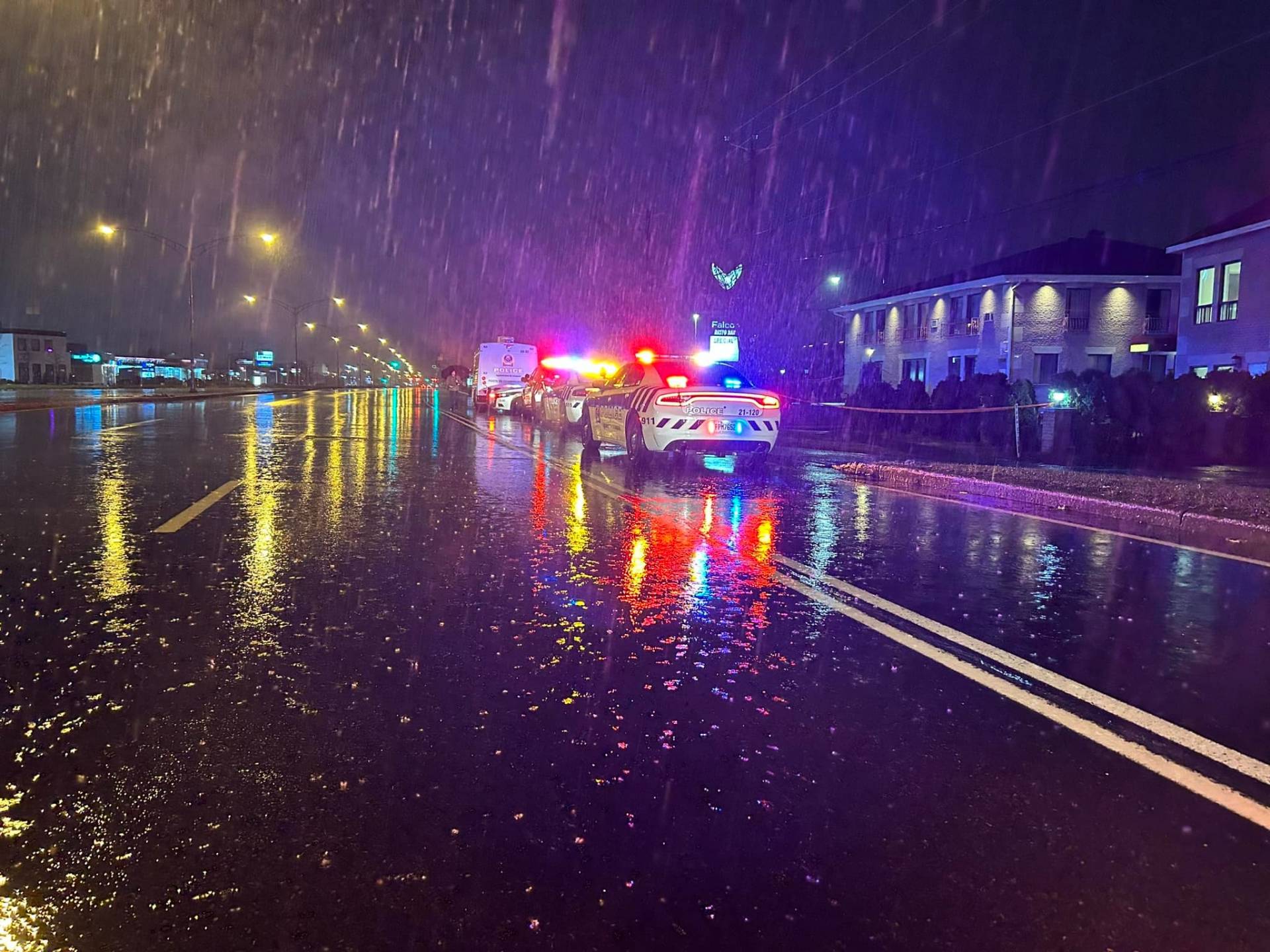 Le film MVP où un singe apprenait à jouer au hockey!