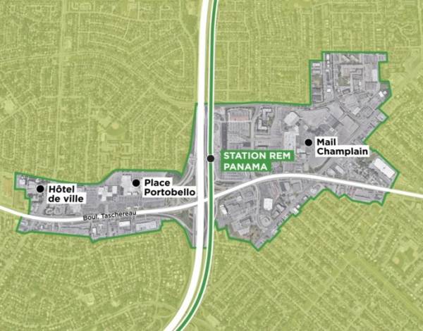 Le gingembre et les chiens… Drôle de réaction!