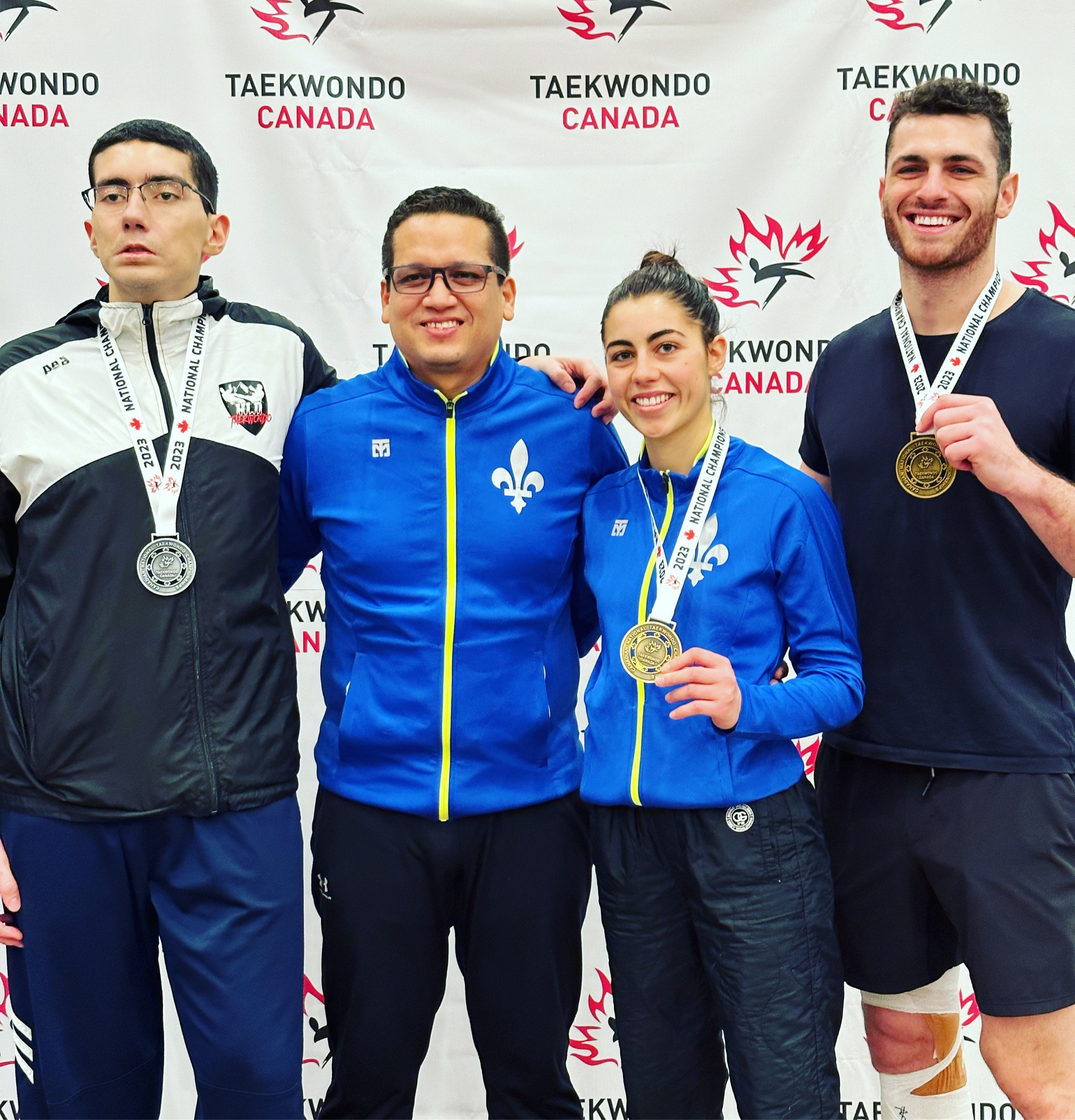 Quand le chat monte dans l&rsquo;arbre