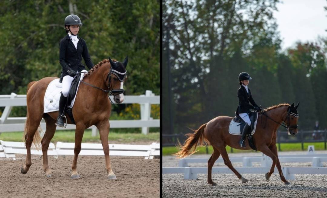 Il y a un chien sur la piste!