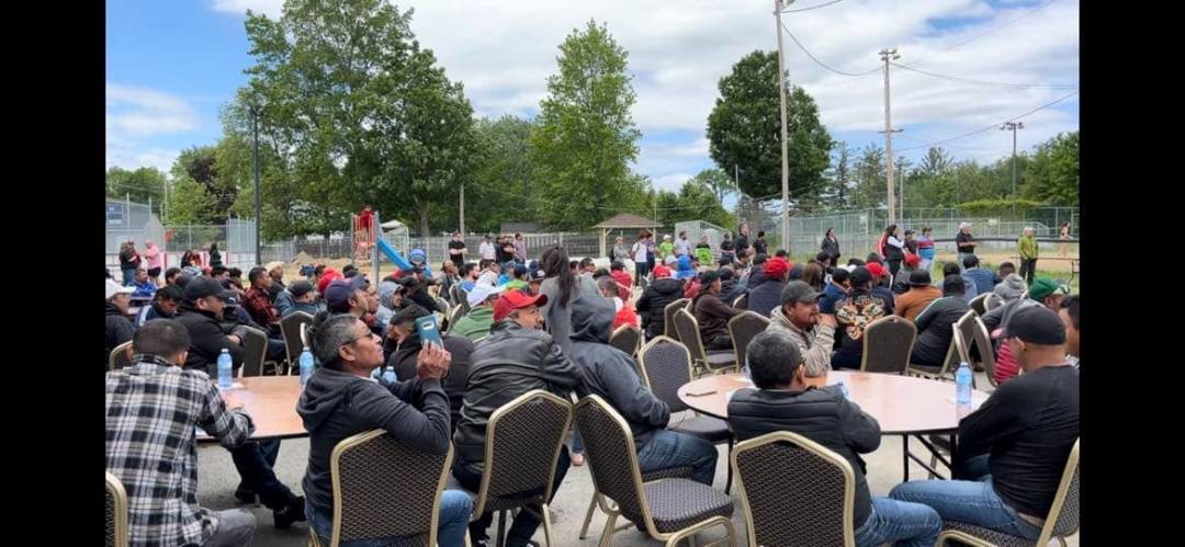 Activités communautaires du 10 avril 2024