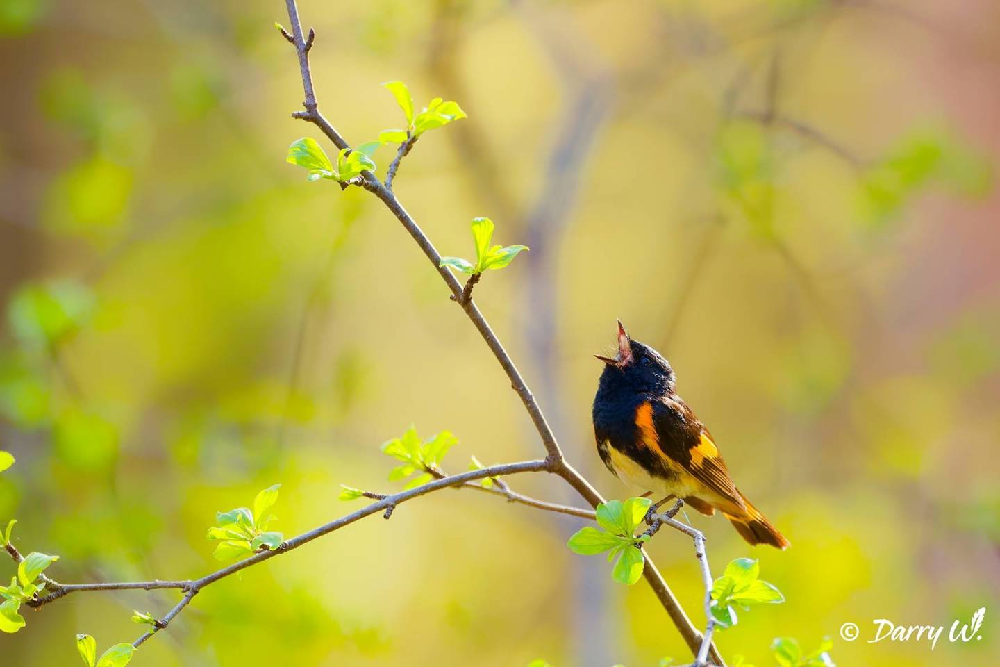 Déchiffrer les panneaux de stationnement grâce à cette application
