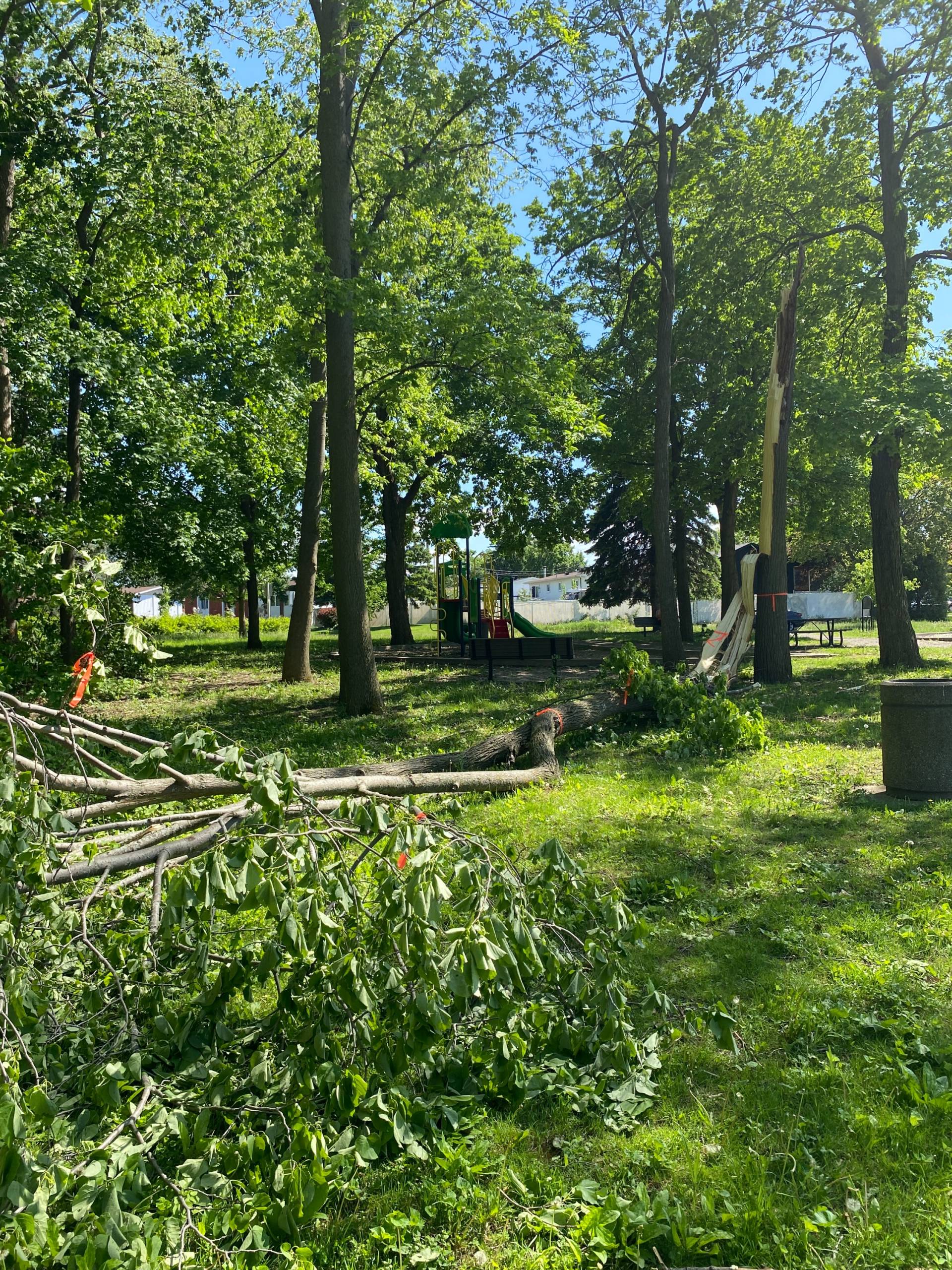 Un serveur équilibriste dans un restaurant de Prague