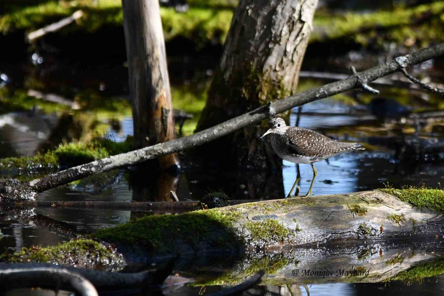 Prime Day: Profitez de ces gros rabais sur les batteries portables Bluetti