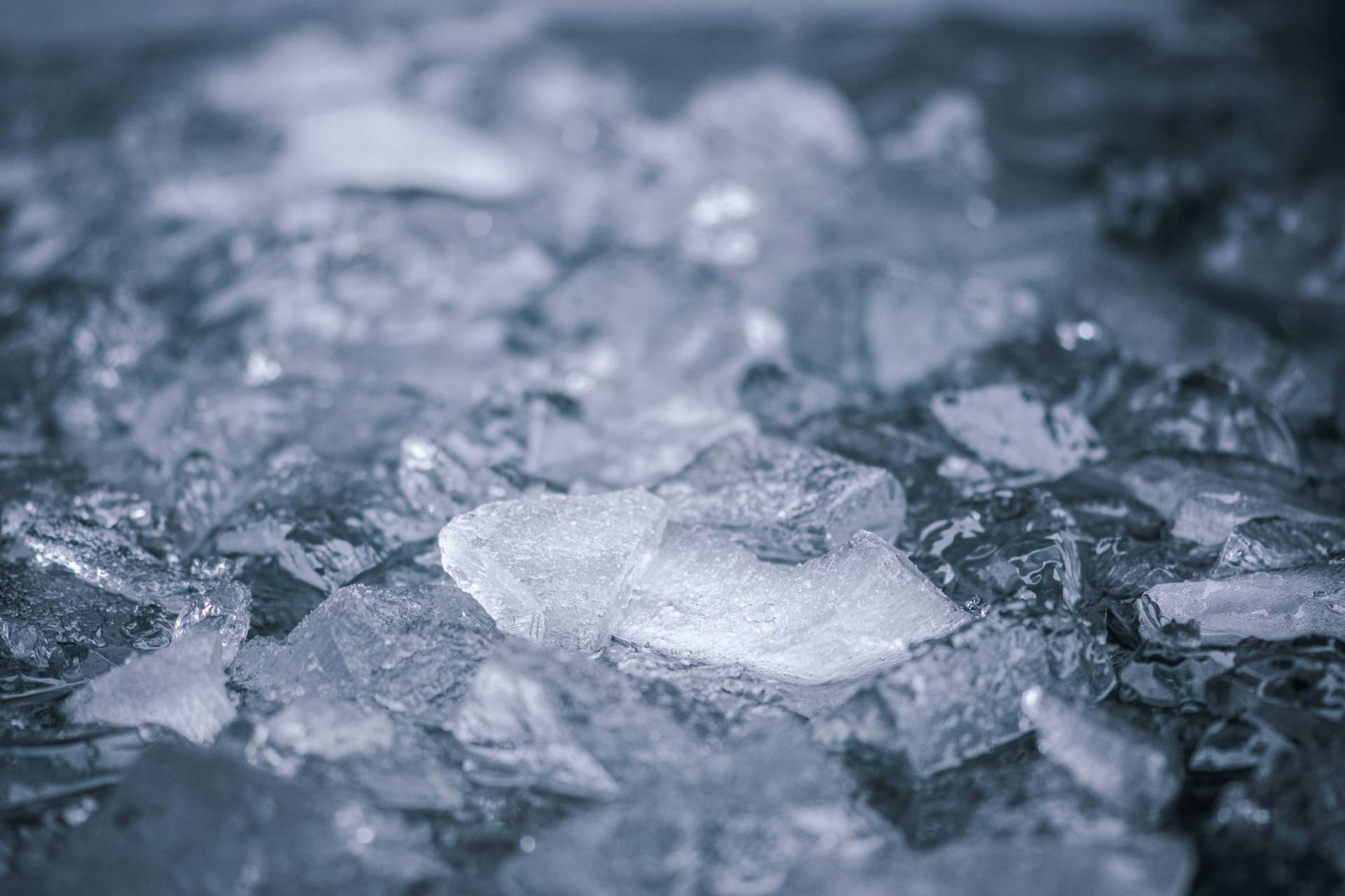 VIDÉO – Que souhaitent accomplir cinq athlètes de la région aux Jeux olympiques de Paris ?