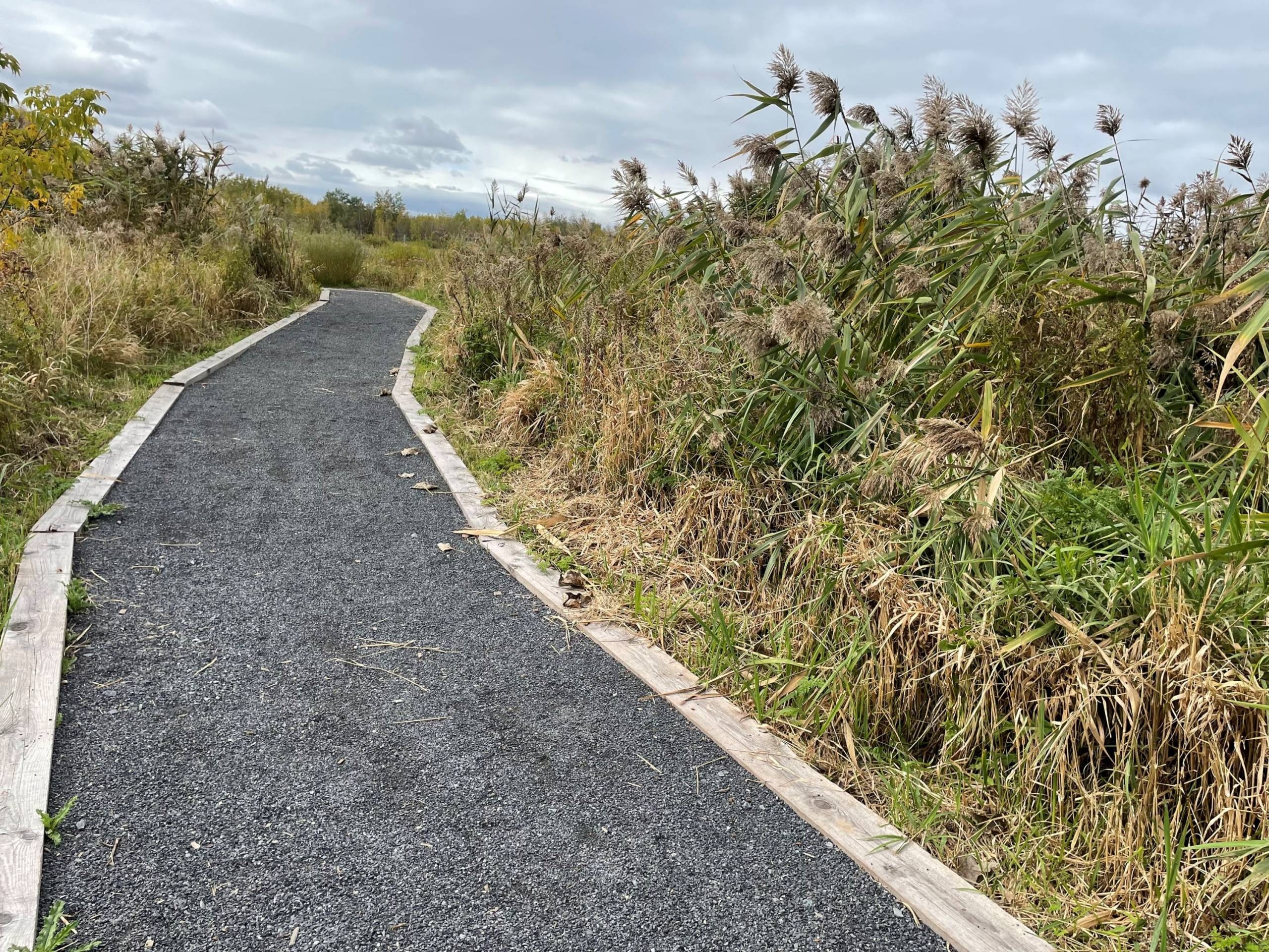 Un truc pour faire honte à ses enfants