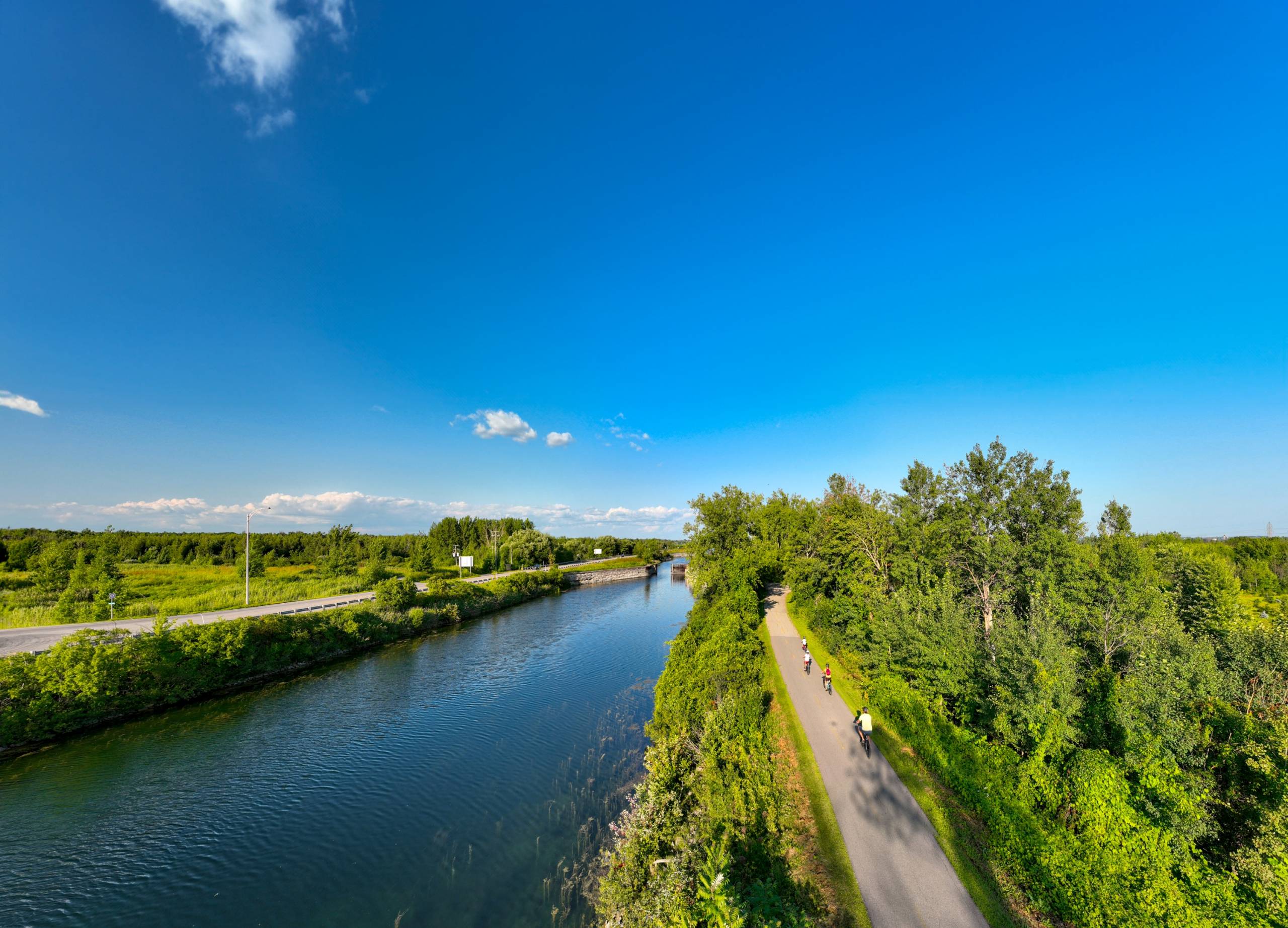 Un husky sibérien endormi écrase son visage contre une vitre
