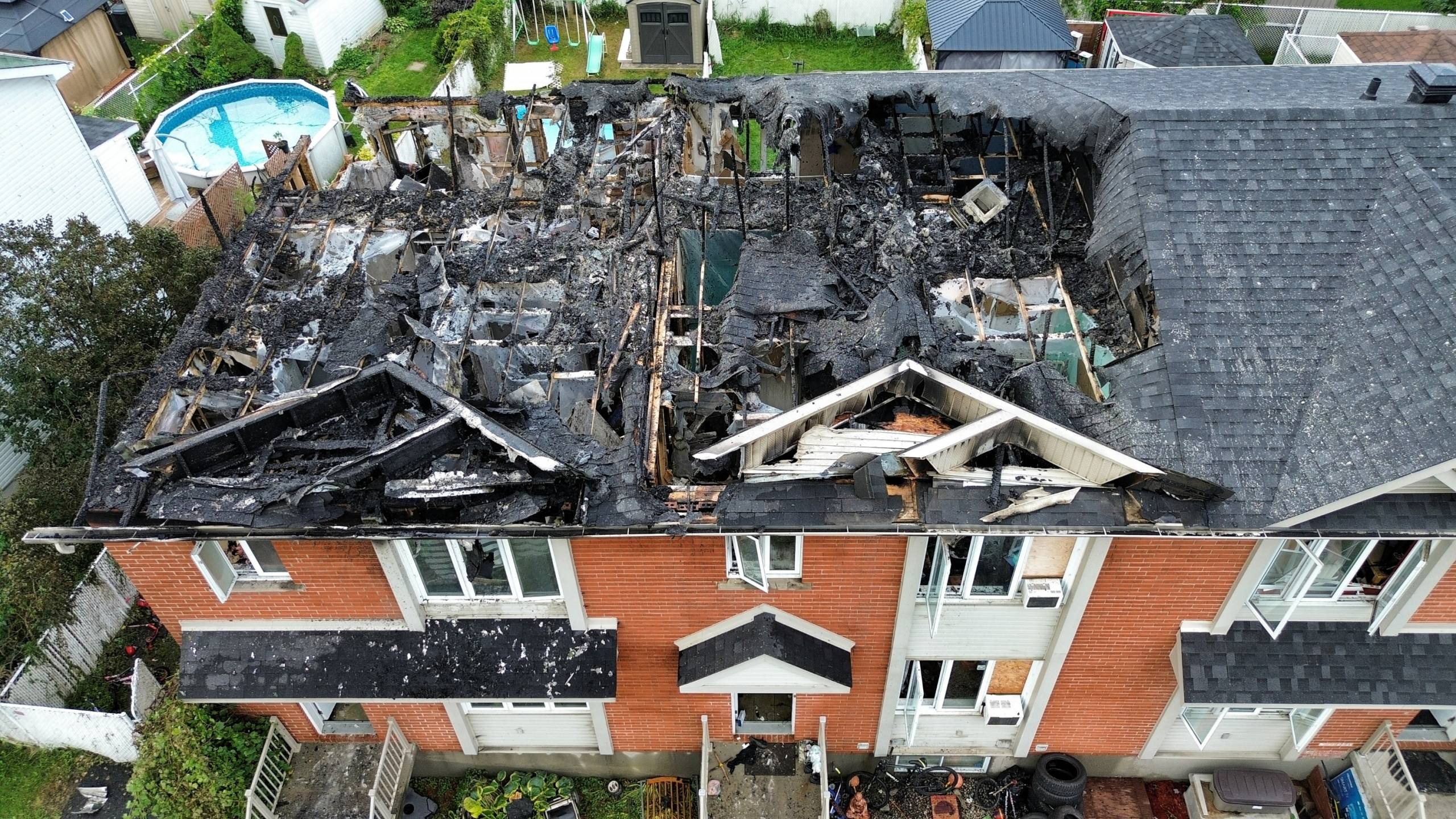 Des litières automatiques qui se nettoient toutes seules