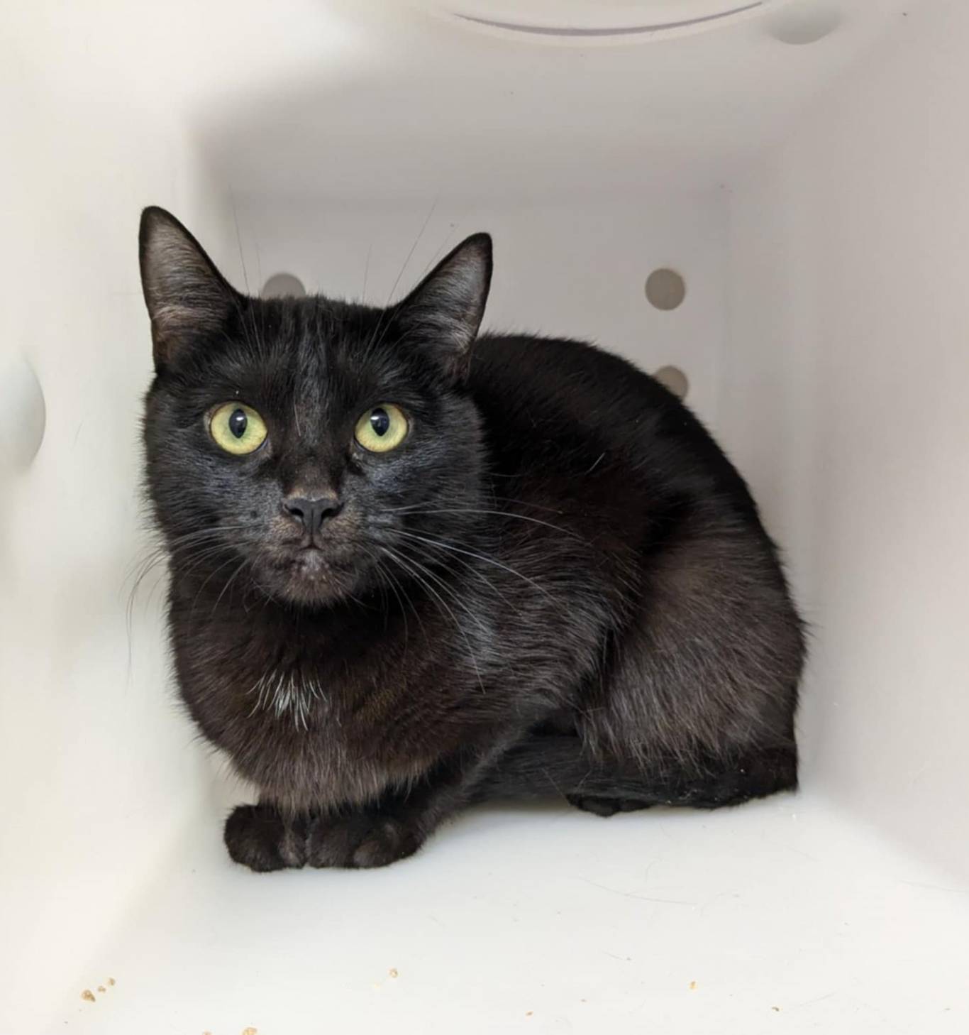 Des bloopers hilarants de l&rsquo;émission Je viens vers toi