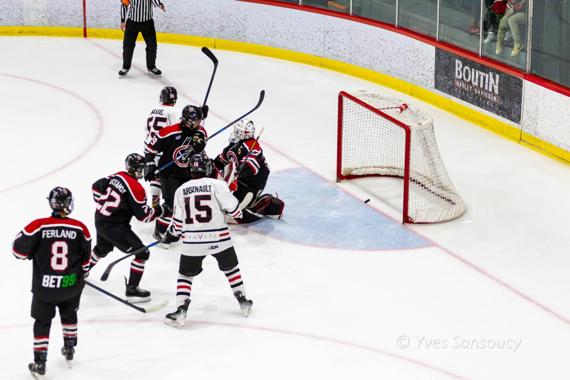 Pitbull a peur des chats qui l&rsquo;intimident