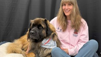 À la pharmacie: du réconfort sur pattes