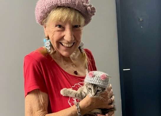 Une femme de 68 ans portée disparue à Boucherville