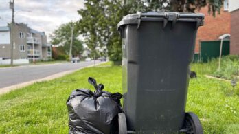 Collectes de déchets aux trois semaines à Saint-Lambert : consensus pour une révision