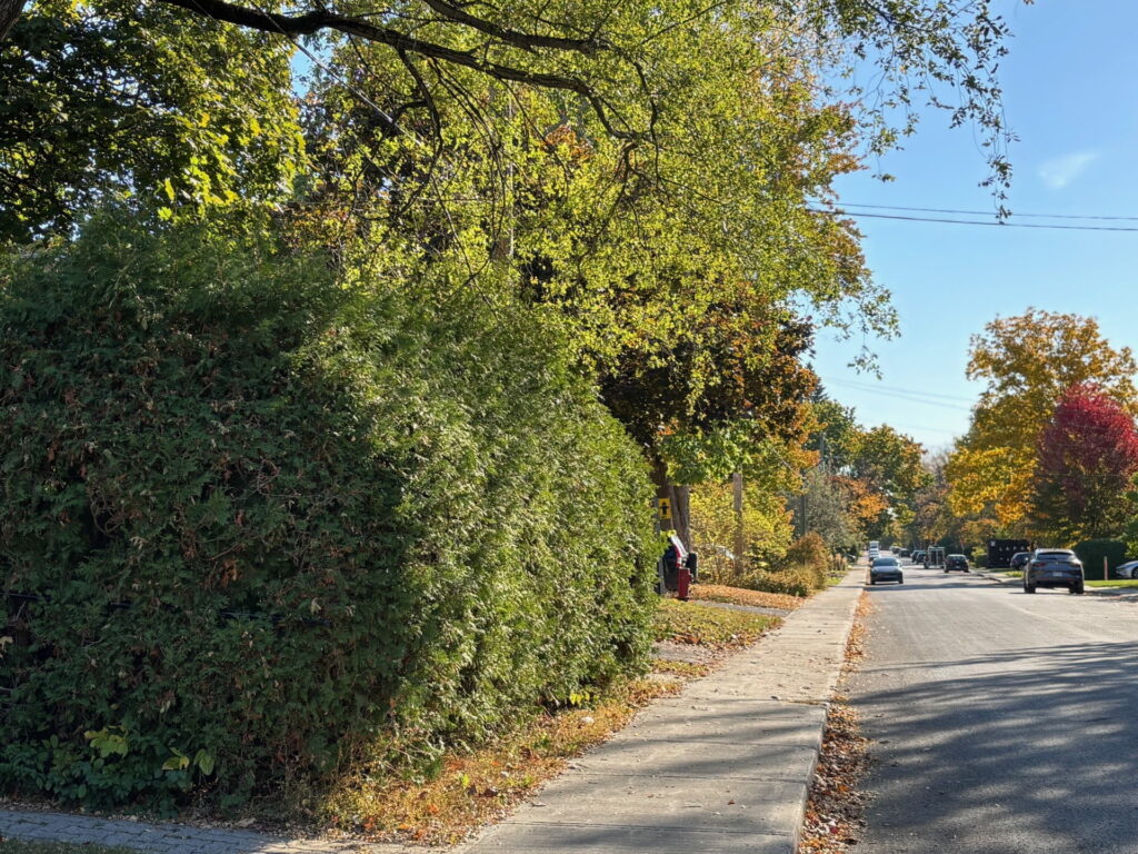 Environnement à Saint-Lambert : les dossiers attendus d’un prochain mandat
