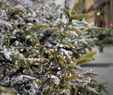 Le Carnaval polaire du Quartier DIX30