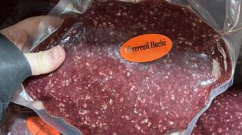 Viande de cerf : un apport essentiel pour Moisson Rive-Sud