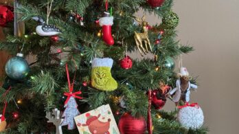 Collecte de sapins de Noël : ce qu’il faut savoir