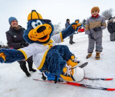 Quoi faire ce week-end sur la Rive-Sud?