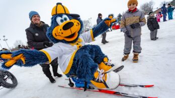 Quoi faire ce week-end sur la Rive-Sud?