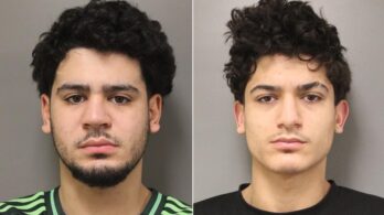 Vols de véhicules : deux individus arrêtés