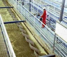 Consommation d’eau potable : Longueuil au-dessus de la moyenne