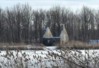 Assurabilité : 40 ans de combat pour Maisons anciennes du Québec