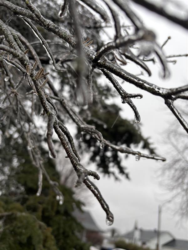 Verglas: des pannes touchent près de 8000 clients à Longueuil et Brossard