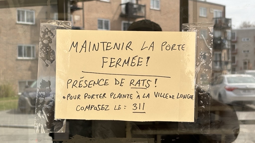 rue Bruges