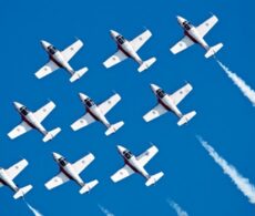 Des Snowbirds dans le ciel de la région