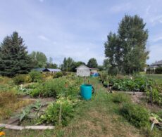 Travaux de 29,3 M$ prévus à Saint-Hubert : les Jardins Leclair-Brosseau touchés, mais maintenus