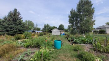 Travaux de 29,3 M$ prévus à Saint-Hubert : les Jardins Leclair-Brosseau touchés, mais maintenus