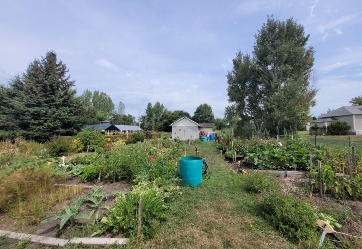 Travaux de 29,3 M$ prévus à Saint-Hubert : les Jardins Leclair-Brosseau touchés, mais maintenus