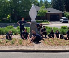 Collège Notre-Dame-de-Lourdes: bye bye pelouse, bonjour jardin pollinisateur !