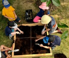 Mois de l&rsquo;archéologie : plongée dans les 400 ans d’histoire de Longueuil