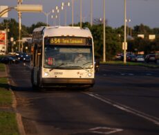 BUS+ : «On va le voir avant de le croire»