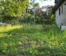 Terrain mal entretenu à Longueuil: interventions à répétition de la Ville