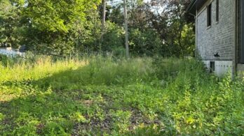 Terrain mal entretenu à Longueuil: interventions à répétition de la Ville