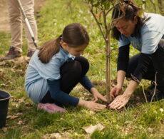 Jour de l&rsquo;arbre : Brossard offrira 350 arbres et 50 tonnes de compost