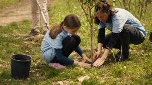 Jour de l&rsquo;arbre : Brossard offrira 350 arbres et 50 tonnes de compost