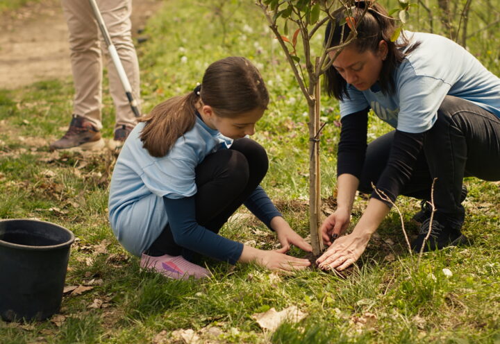 Jour de l&rsquo;arbre : Brossard offrira 350 arbres et 50 tonnes de compost