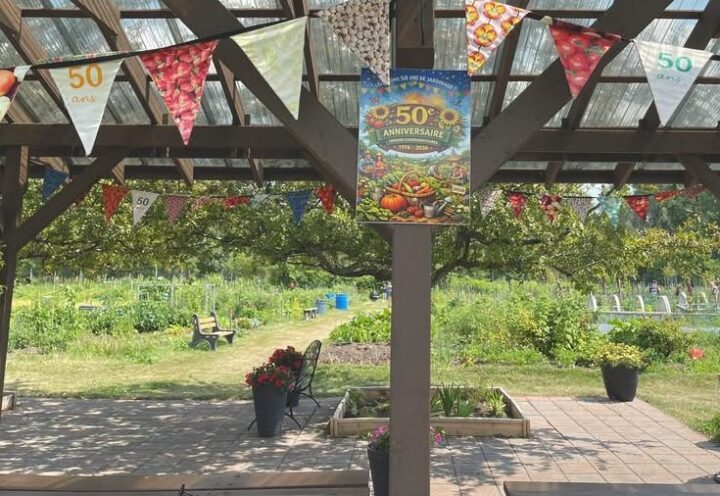 Jardins communautaires de Longueuil : 50 ans à cultiver la terre et les liens