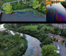 Déversement dans la rivière Saint-Jacques : plus de peur que de mal