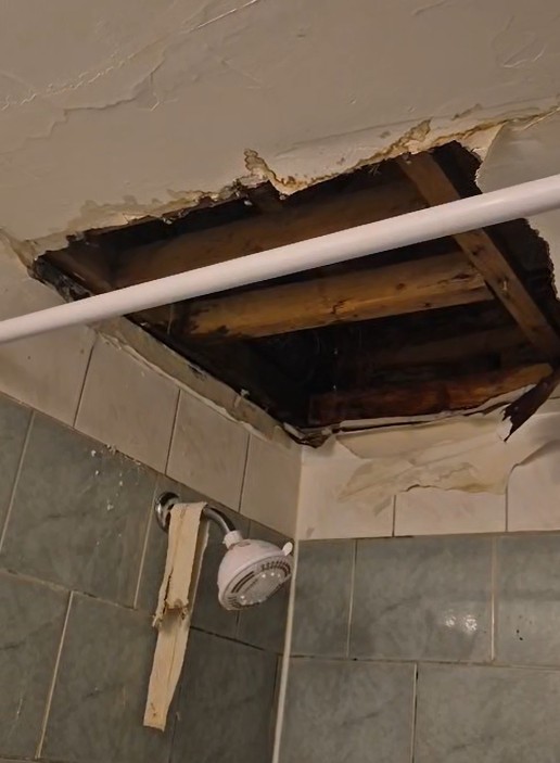 Logement insalubre