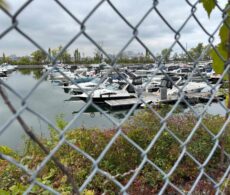Marina de Longueuil : deux plaisanciers expulsés réclament 35 650 $