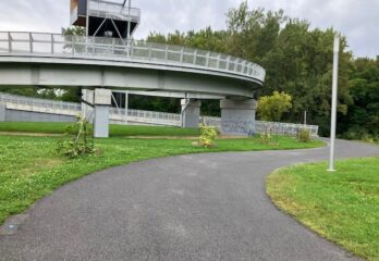Longueuil : une dizaine de jeunes arbres vandalisés